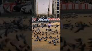 Hazrat Umar Farooq R.A #shorts #shortvideo