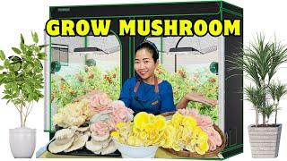 Grow tent used to grow mushrooms at home #ad #VIVOSUN #GrowTent #shorts