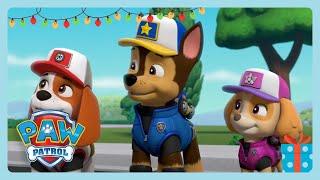 Paw Patrol Greatest Rescues | PAW Patrol | Wildbrain Wonder