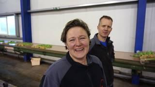 Miljoenen tulpen zien de wereld vanuit Loppersum - Bie de boer (67)