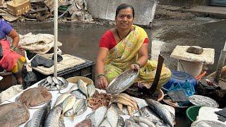 ३० किलो मांदेली फक्त ५०० रुपये | Malad Wholesale Fish Market | Malad West Macchi Market