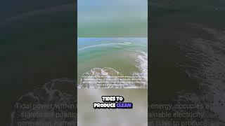 Ride the Waves  Unleashing the Power of Tides for Clean Energy 