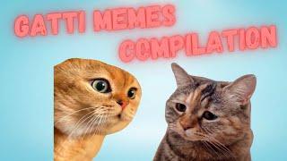 Gatti meme - Compilation  1