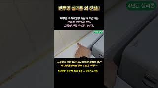 반투명 실리콘 절대로 쓰지 마세요!!