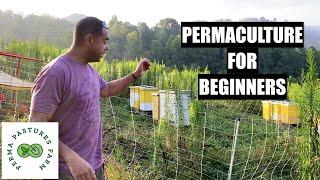 Permaculture Demystified: Your Essential Guide for Beginner Green Thumbs!