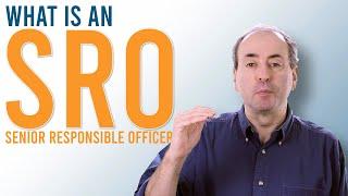 What is a Senior Responsible Owner - SRO? PM in Under 5