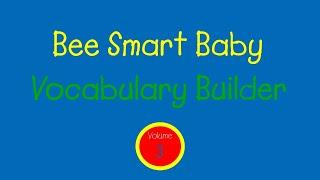 Bee Smart Baby - Vocabulary Builder: Vol. 3 (1999)