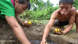 Survival Skills Find Food Alone In The Forest - How To Primitive Relaxing Living Off Grid Every Day