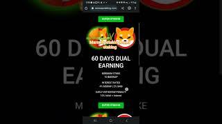 STAKE #MSWAP GET #BONE NOW LIVE #SHIBASWAPBONE #SHIBARMY #SHIB