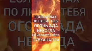 КОГО ЛЮБИТ АЛЛАХ