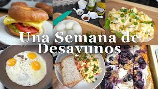 Desayunos Saludables para una Semana Nutritiva  | Recetas Fáciles y Rápidas