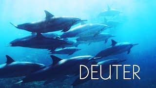 Tonglen | Deuter | Relaxing Music for Meditation