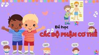 Bé Học Các Bộ Phận Trên Cơ Thể | Song Ngữ | Dạy Trẻ Thông Minh Sớm