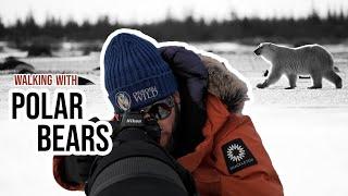 Wildlife photography POLAR BEARS with the NIKON 600mm f4 Z TC a DREAM SHOOT with Churchill Wild!