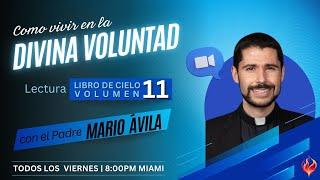 Libro de Cielo Volumen 11-6 | Enseñanzas sobre la Divina Voluntad | Padre Mario Ávila