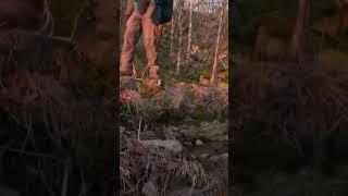 amazing hike and fly golden hour sunset.