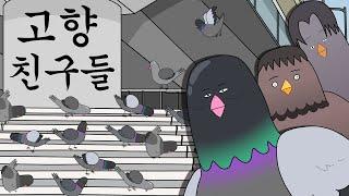 고향 친구들 [비둘기라서 다행이야]