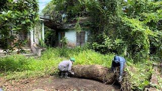 REVIVAL of an abandoned house for 50 years - AMAZING TRANSFORMATION when cleaning