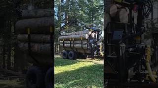 Kesla Rückewagen 114H mit 314T Forstkran von MAUCH.at Holztransport #Forst #forest #woodworking #new