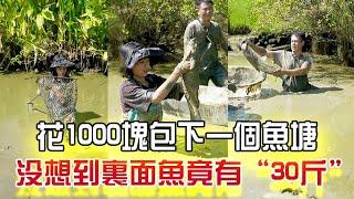 花1000塊包下壹個魚塘，沒想到裏面的魚竟然有“30斤”？#戶外 #三農 #農村生活 #我要上熱門 #小飛哥#抓魚vlog