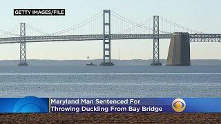 Ethan Fowler Sentenced For Throwing Duckling From Bay Bridge