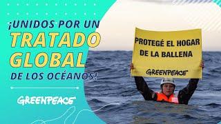 ¡Unidos por un Tratado Global de los Océanos! - Greenpeace Argentina