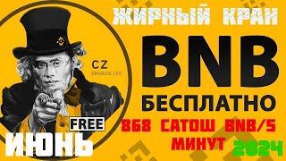 Новый кран BNB-868 сатош/5 минут(СКАМ)