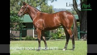 2017 Gold Coast Magic Millions Fastnet Rock x Honor Patti - Lindsay Park Racing