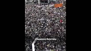 Люди мира: «Мы поддерживаем Палестину»