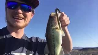 Pre-spawn Bass Fishing (Ft. FishingwithAdam) | Sand Hollow, Utah