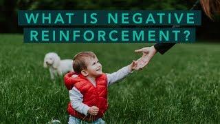 What is Negative Reinforcement? | Care.com