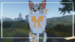 ОБЗОР ВЕЩЕЙ КОТОРЫХ НЕТУ В ИГРЕ warrior cats ultimate edition