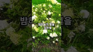 밤하늘의 별을 따서 너에게 줄래 #임한별 #밤하늘의별을 #추천발라드 #꽃
