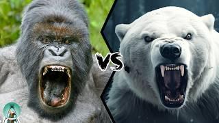 Gorilla vs Polar Bear - Who Would Win?