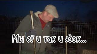 1655️Ну, кто так сеет?/Меня в доме не удержать/ Ночные забавы