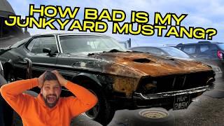 REALLY HOW BAD IS MY JUNKYARD FORD MUSTANG MACH 1?