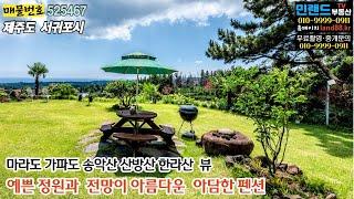 [NO. 525467] 제주도 서귀포시, 바다 전망이 좋은 아담한 펜션- 민랜드부동산TV