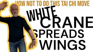 How Not to Do... White Crane Spreads Wings