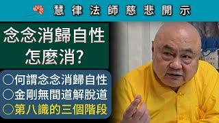 念念消歸自性 怎麼消？第八識的三個階段 ~ 慧律法師慈悲開示