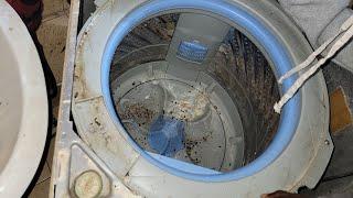 Dead rats inside this laundry machine,messy repair