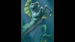 2023 Seahorse & 5000BCE Seahorse #seahorses #shortvideo #shorts