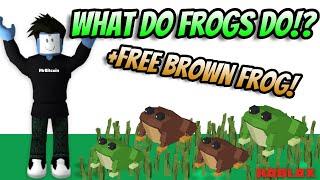 Roblox Islands - Frog Update - Testing Frogs - Free Brown Frog!