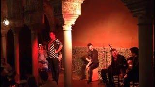 Flamenco de Jerez