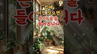 돈이 꾸준히 들어오는 집엔 이 물건들이 있습니다 #풍수 #풍수인테리어 #풍수소품 #화분 #사주