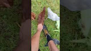 Stop Eating My Boots