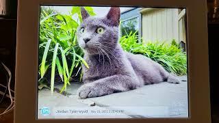 NexFoto WiFi Digital Picture Frame Review, Sharper than it's rough edges would suggest