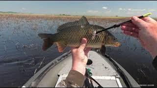 Охота на сазана - 3 CrossBow Fishing