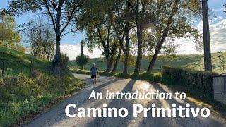 Walking the Camino to Santiago - Introduction to Camino Primitivo