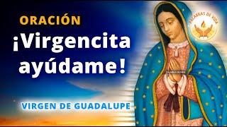 ORACION a la VIRGEN DE GUADALUPE  para pedir su AYUDA y PROTECCION.