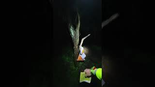 Orienteering - Colden Common - Controls only